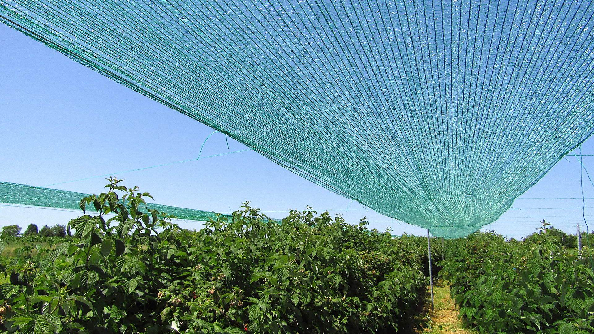 gen-slider-agronet-1-1 (1)
